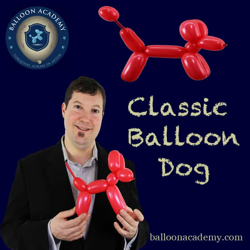 How to Make a Dog Balloon Animal