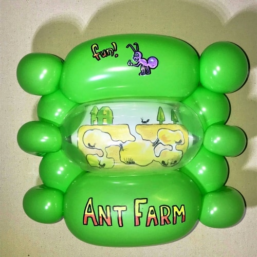 Balloon Ant Farm
