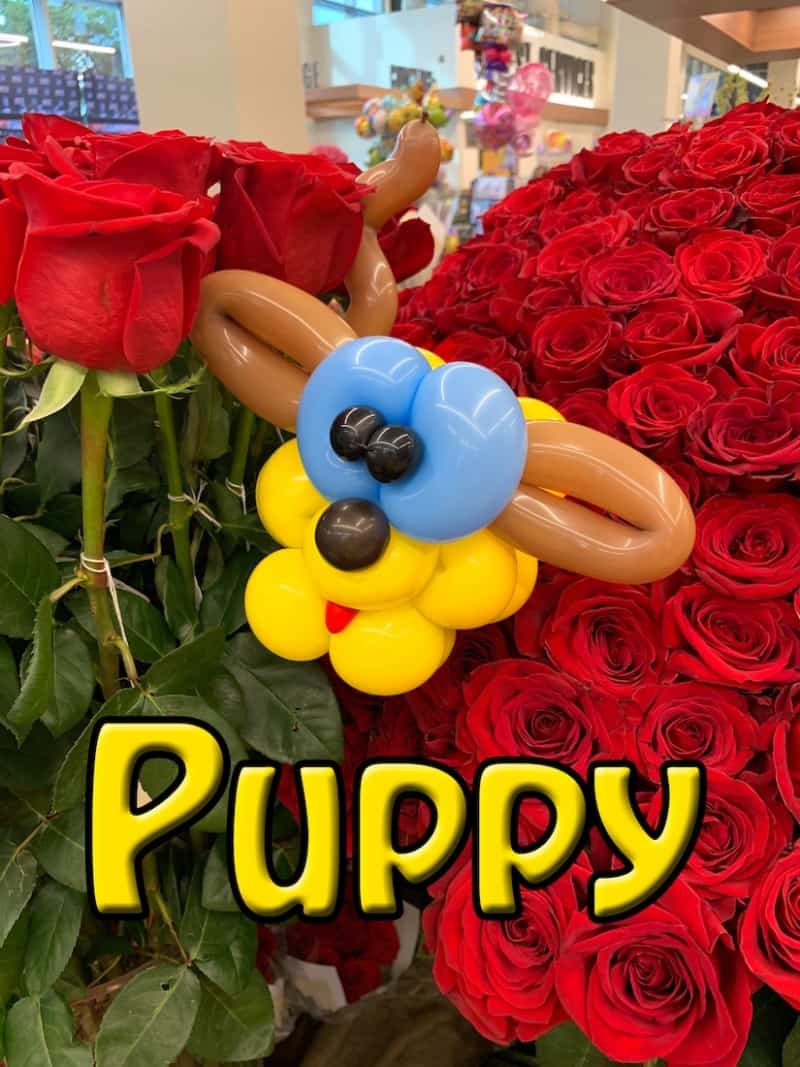 Balloon Puppy - Petal Pals
